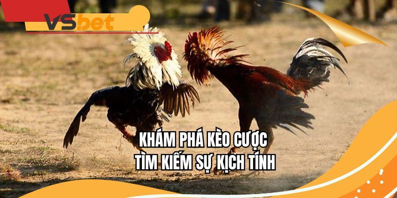Khám phá kèo cược tìm kiếm sự kịch tính